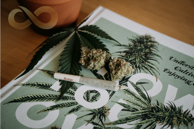 A BEGINNER'S GUIDE TO CANNABIS: METHODS OF CONSUMPTION